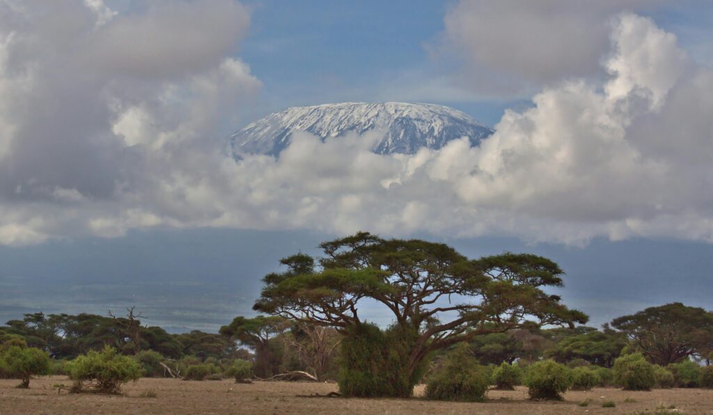 Snow-capped Mount Kilimanjaro above savanna with acacia trees